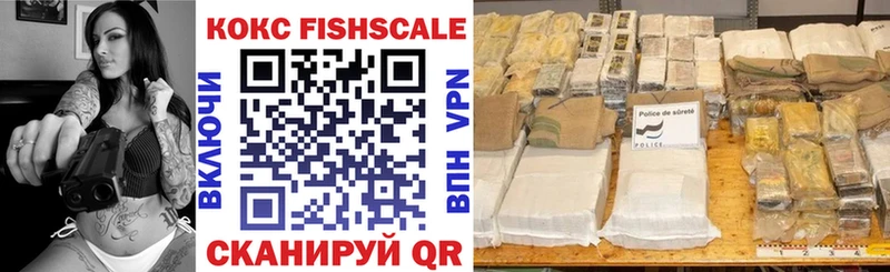 где купить наркоту  Малмыж  Cocaine Fish Scale 