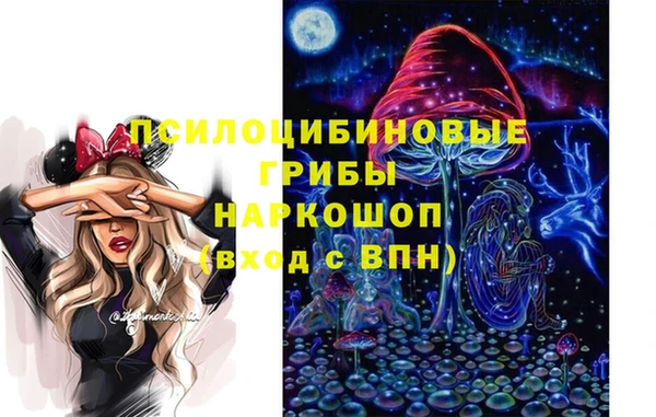 а пвп мука Верхний Тагил