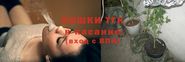 мдпв Верея