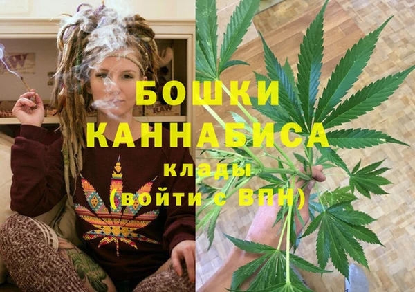 шишки Богданович