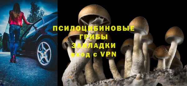 шишки Богданович