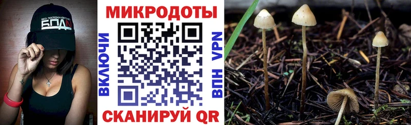 Псилоцибиновые грибы Psilocybe  продажа наркотиков  Малмыж 